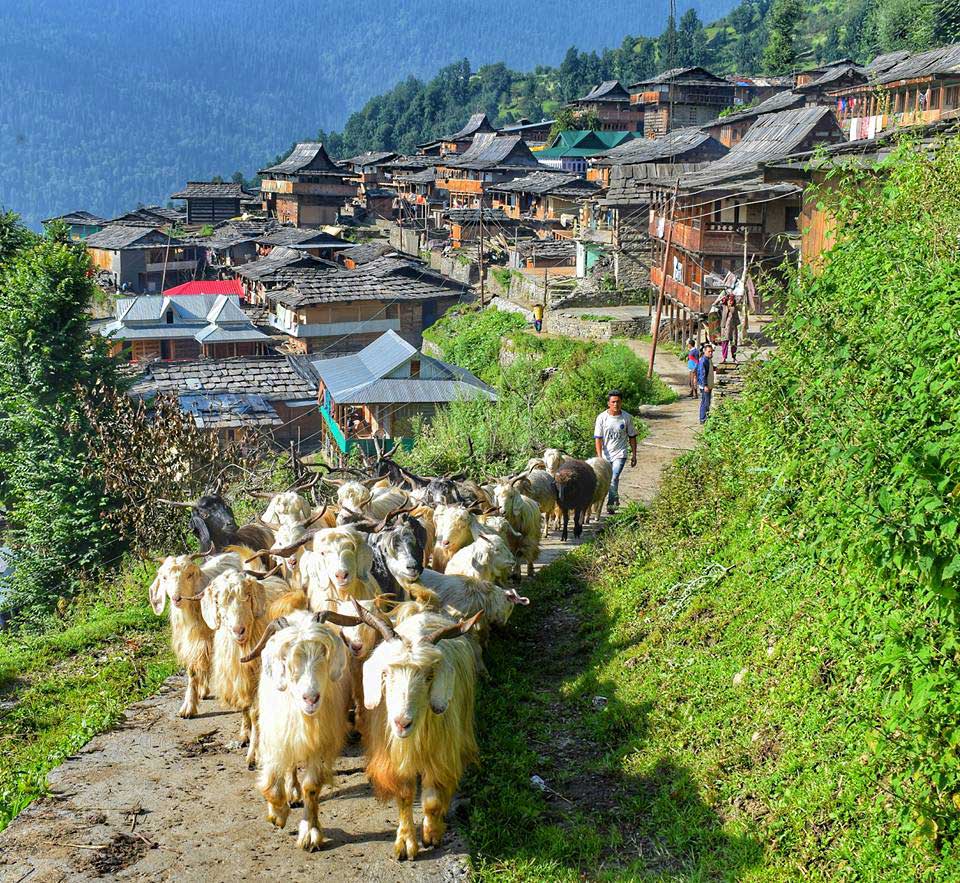Chanshal Pass Trek | Offbeat Trek in Shimla | Hill Gypsy